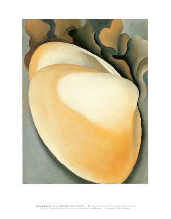 Tan Clam Shell Georgia O'Keeffe